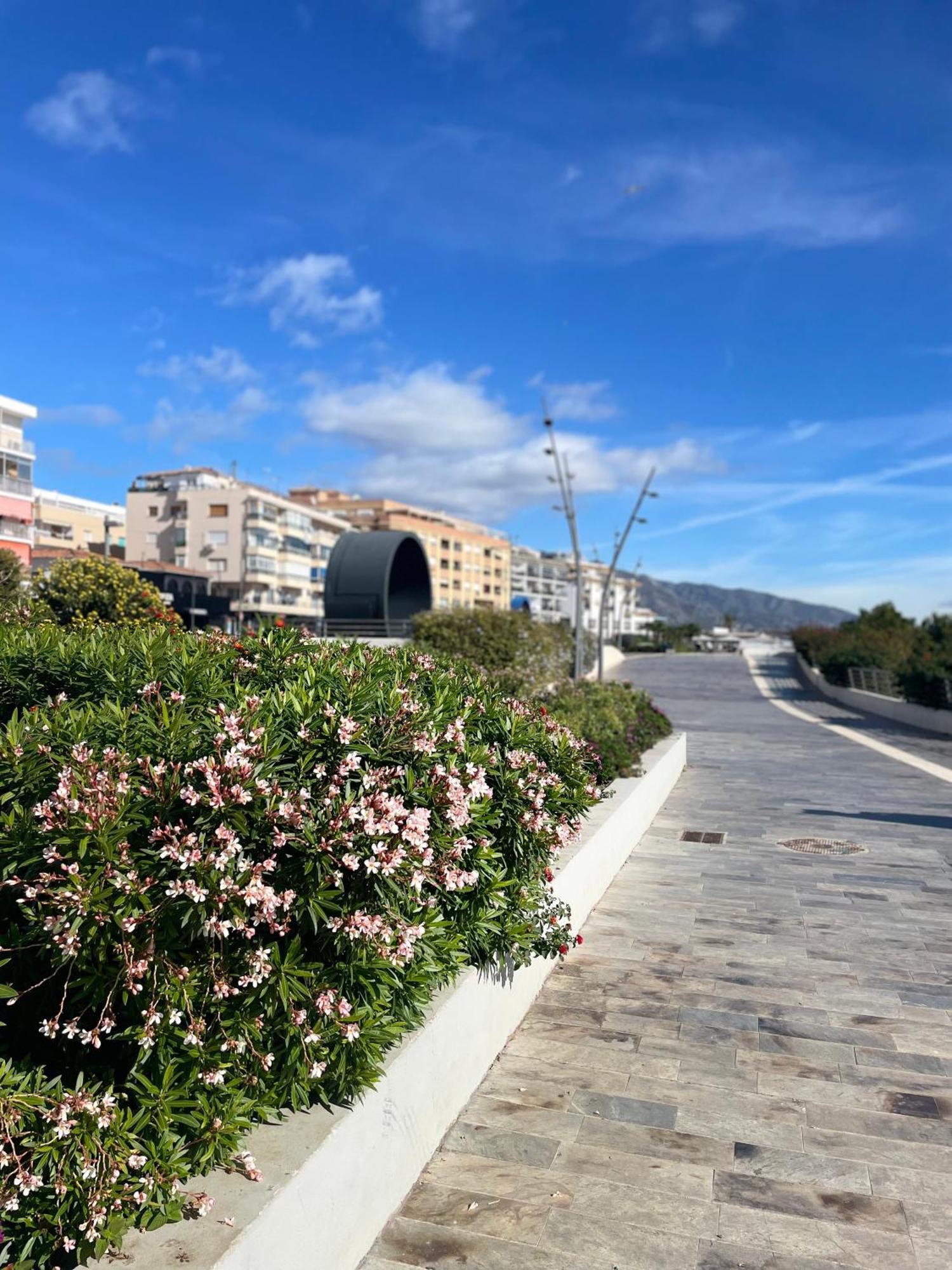 Appartamento Casa Rosa Nova Marbella Esterno foto
